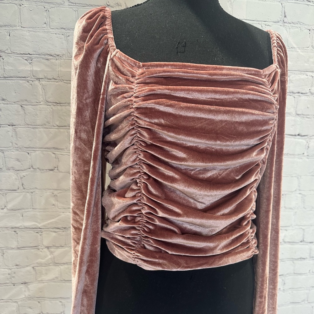 She + Sky Brand Pink Velvet Rouched Longsleeve